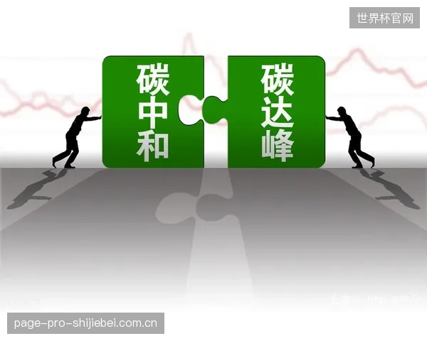部分体育机构将购买林业碳汇与自身减排行动混为一谈,碳中和的严肃性被稀释 部分体育机构将购买林业碳汇与自身减排行动混为一谈,碳中和的严肃性被稀释